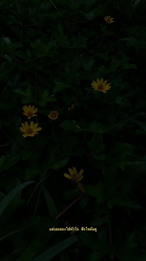 วิดีโอของ 44% (@sky_n1998) พร้อมเพลง ฟังใจ (You are my destiny) - Original Soundtrack from