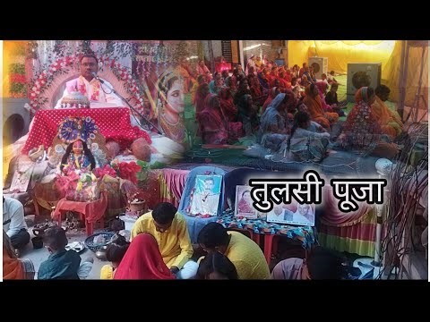 Tulsi Puja Vidhi 🌿 | घर में सुख-समृद्धि का रहस्य