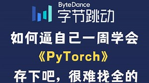【2025版】这绝对是目前B站最全最细的PyTorch零基础全套教程，整整200集，包含所有干货！七天就能从入门到实战！少走99%的弯路！存下吧！很难找全的！