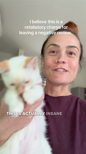 Smh. | Cards Against Humanity Review