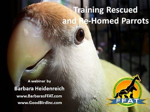 Training Rescued and Re-Homed Parrots - Webinar Recording