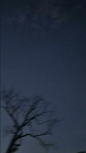 video to gorilla song Silent Running ft. Adeleye Omotayo