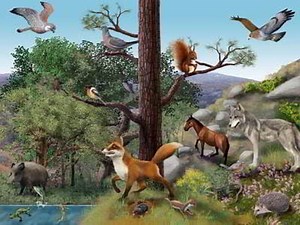 Puzzle de  ECOSISTEMA TERRESTRE , rompecabezas de