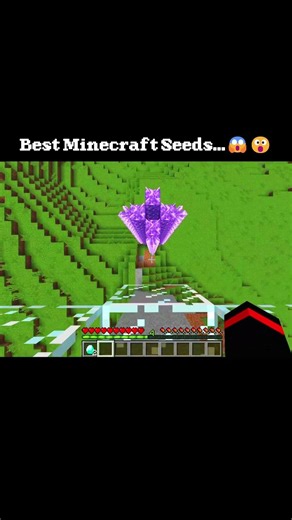 Best Minecraft Seeds 2026 💀 #minecraft