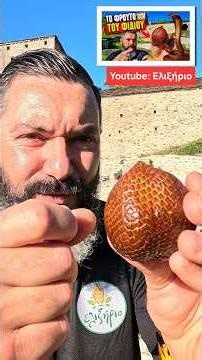 🐍 Του φρούτο του φιδιού ή Salak - Snake fruit ➡️Δείτε ολόκληρο το βίντεο στο YouTube: Ελιξήριο