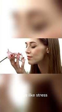 Where Do Missing Memories Go?