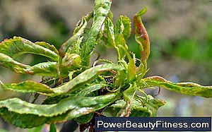 Što Uzrokuje Ljepljivo Znojenje? 💪💪 Sve O Fitness I Zdravom Načinu Života - 2025