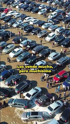 Is it possible to buy a cheaper car in Panama? 🤔