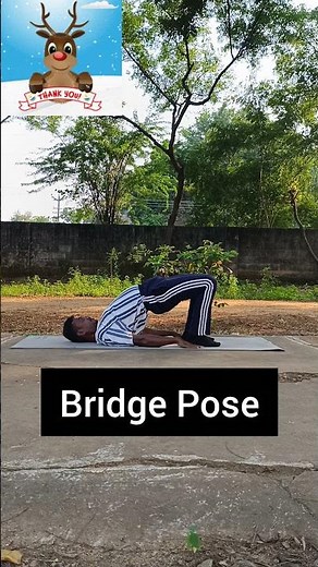 yoga bridge pose health sports workout exercise physical fitness