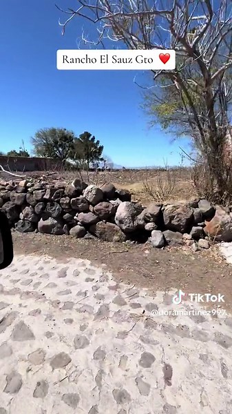 TikTok - Make Your Day