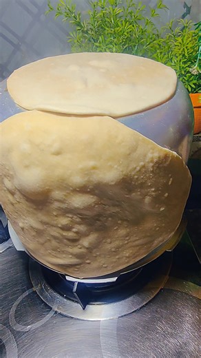 Tandoori Roti & Tandoori NaaN At Home Without Tandoor // Tandoor Tips And Tricks #shorts #viralvideo