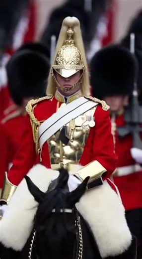 ✨ Perfection on Parade 👍#britisharmy #militaryparade #ceremonialhorse #viralclip #military