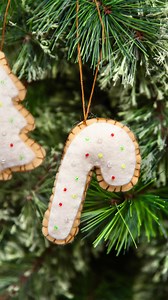 19 reactions · 3 comments | Christmas cookie ornaments with your...