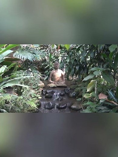 white noise, close your eyes and you are back to nature，白噪音，鸟叫与溪水声的完美结合，闭上眼睛，深呼吸你又回到了大自然。完整视频链接在评论区