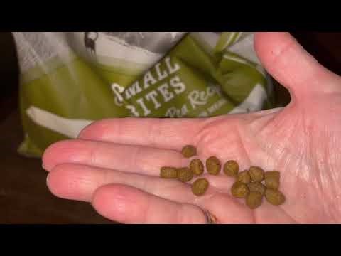 Picky Eater? Not Anymore 😅 | NutriSource Small Bites Dog Food Review