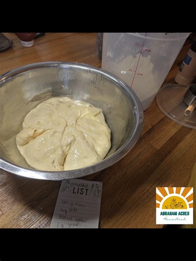 Fermented pizza dough is a go-to for homemade pizza, calzones, stromboli, cheese sticks, etc. We keep frozen pizzas at the ready most of the time & we are out. this tripe batch will make us about a dozen 12