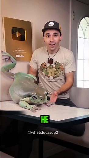 This Frog Was Just Tiny… Now He’s a Viral Celebrity 🐸😍 | Dumpy The Friendly Frog