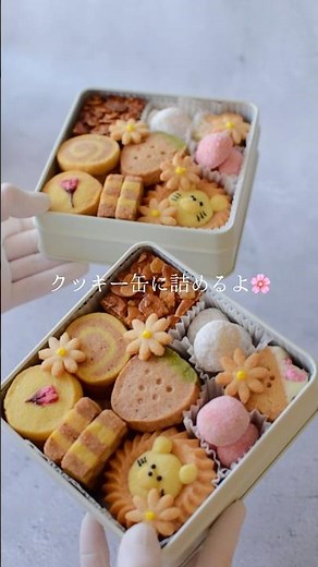 クッキー8種類をクッキー缶に詰めるよ🌸#sweets #お菓子 #可愛い #cookie #クッキー #クッキー缶