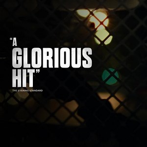 525K views · 756 reactions | From the director of 12 Years A Slave comes the critically acclaimed #Widows, arriving in cinemas November 6. | 20th Century Studios | Facebook