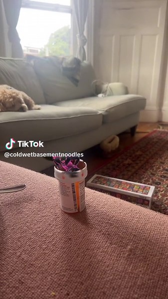 no one (@coldwetbasementnoodles)’s videos with Zombie - The Cranberries