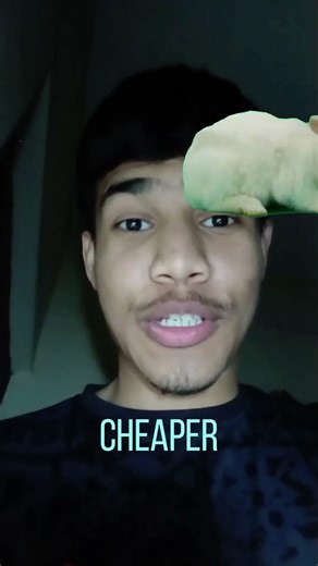 Learn how to install and set up Pico Claw in just 4 simple steps!