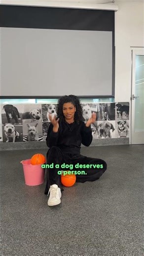 Taylor Rooks' Dog Has Changed Her Life | The Dodo