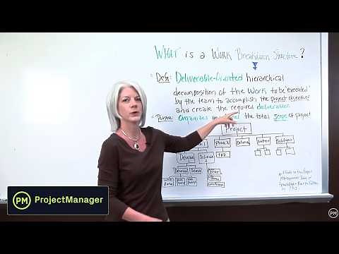 Project Management: What is a Work Breakdown Structure?