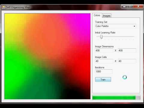 Kohonen Network Self Organizing Map for Color Organization