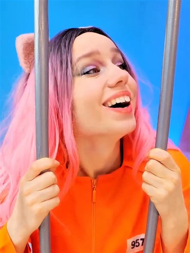 Prisoner and Police Encounter Explained