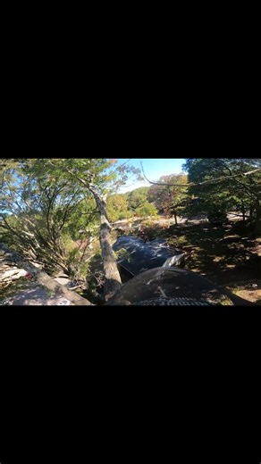 Rigging a White Oak Limb With ZERO Room for Error!