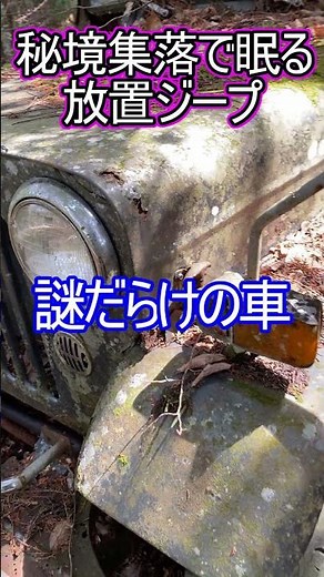 秘境地帯に放置された古いジープ草ヒロを発見