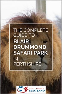 Blair Drummond Safari Park | Stirlingshire