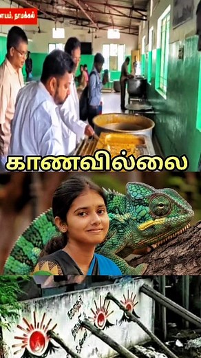 #Animationakka Enga ?🙂 #saranzone #sarantrollzone #memesdaily #troll #meme #thalapathy #vaishnavi #tvk #tamilagavettrikazhagam #namakkal #dmkvaishnavi #kumarapalayam #news #socialmessage #awarness #dmkfailstn #politics Edhu Match Aguthu 😟 | Saravanan