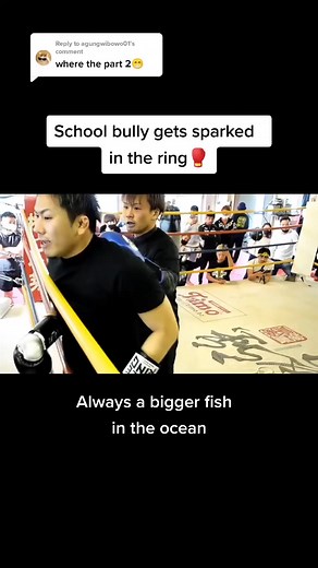japanfightclub on TikTok
