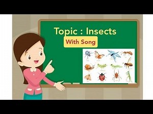 Insects /Lesson on insects for Kindergarten or Preschool with a beautiful song.
