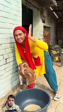 akela ka bakra 😂😂 #comedy #funny #entertainment #akila #akeela