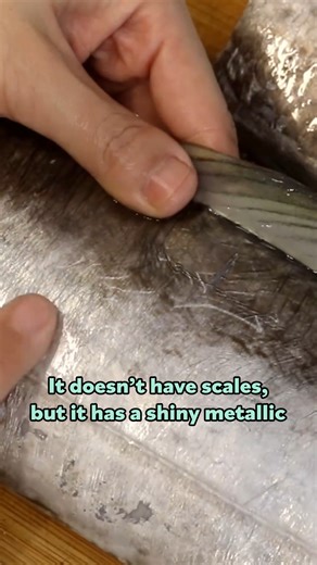 Belt Fish Extravaganza! #fish #viralreels | Souped Up Recipes