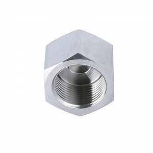 [Hot Item] Factory Direct Supply Stainless Steel NPT/BSPP/BSPT Thread Hex End Cap for Marine