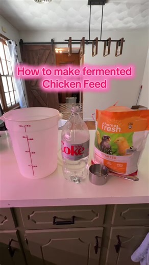 #homesteading #chickens #prepper