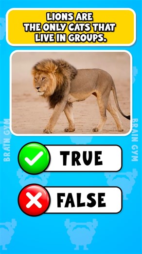 Animals True or False Quiz 🐼🦁 | Can You Get Them All Right?
