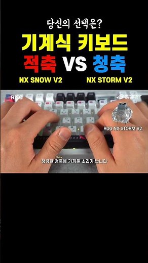 기계식 키보드 적축vs청축, 당신의 선택은?