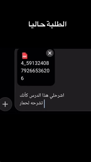 Bdarija on Instagram