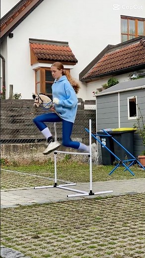 Hobby Horse Training #hobbyhorsing #training