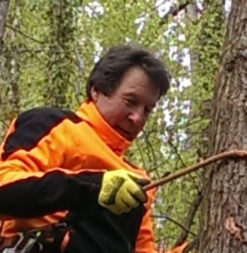 Daves Tree and Gardening Services | Skewen