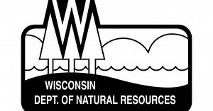 Wisconsin scientists track tiny bats with small transmitter