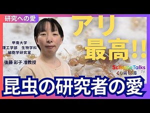 アリ最高！！アリを愛でる研究者 甲南大学 理工学部 生物学科 細胞学研究室 後藤 彩子 准教授