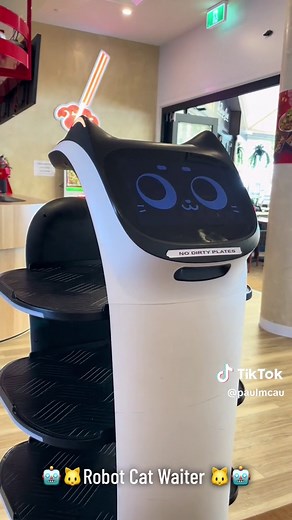 Robot Cat Waiter at IDumplings on Cairns Esplanade | Tech Products & Info