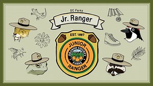 45 reactions | 量✪ Have you started your OC Parks Jr. Ranger Program...