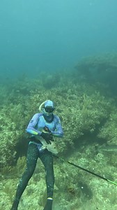 Spearfishing for Cubera Snapper | Ryan Myers