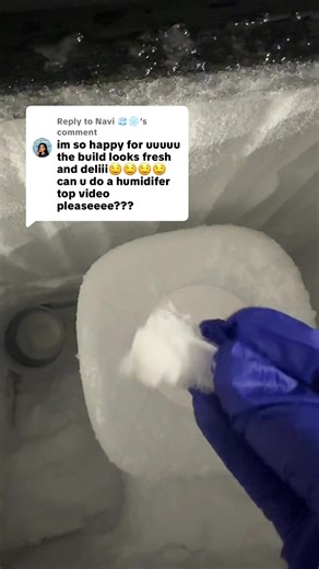 Replying to @Navi 🧊❄️ Hope you enjoy!!! This humidifier was soooo goood 💯🩵❄️❄️❄️ #iceeatingasmr #freezerfrostasmr #freezerfrost #iceeatingvideos #icelover